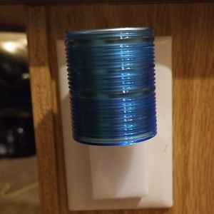 Blue Wallflower Plug